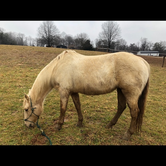 Meet your Posher, Grace - Picture 3 of 3